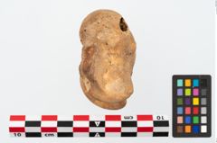 Foto von Astragalknochen (NHMW-PRAE-025648)